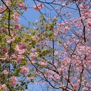 龙岩旅游 缩略图 10