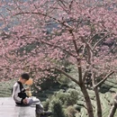 龙岩旅游 缩略图 11