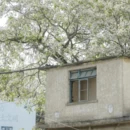 福州旅游 缩略图 16