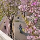 漳州旅游 缩略图 1