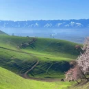吐鲁番旅游 缩略图 6