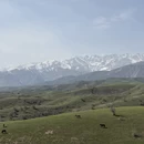 伊犁旅游 缩略图 1