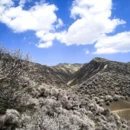 伊犁旅游 缩略图 6