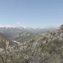 伊犁旅游 缩略图 2