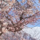 喀什地区旅游 缩略图 1