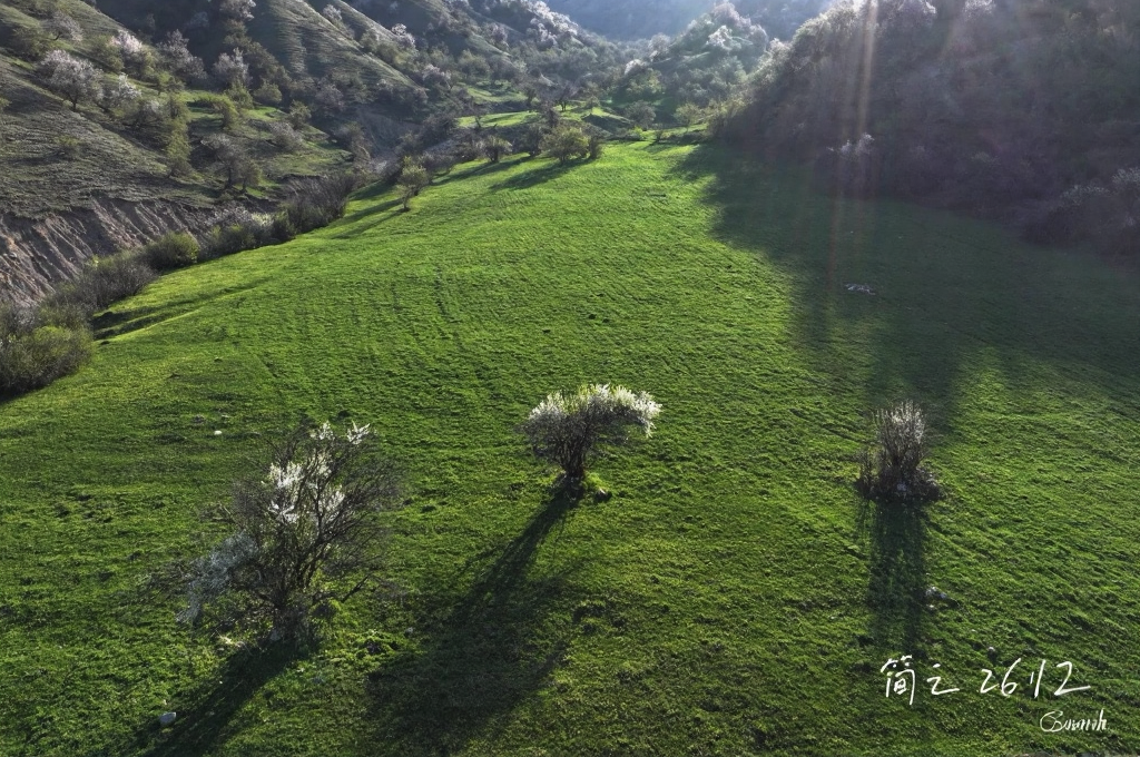 伊犁旅游
