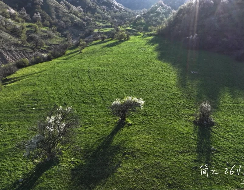 伊犁旅游 1