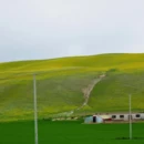 伊犁旅游 缩略图 7