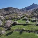 伊犁旅游 缩略图 5
