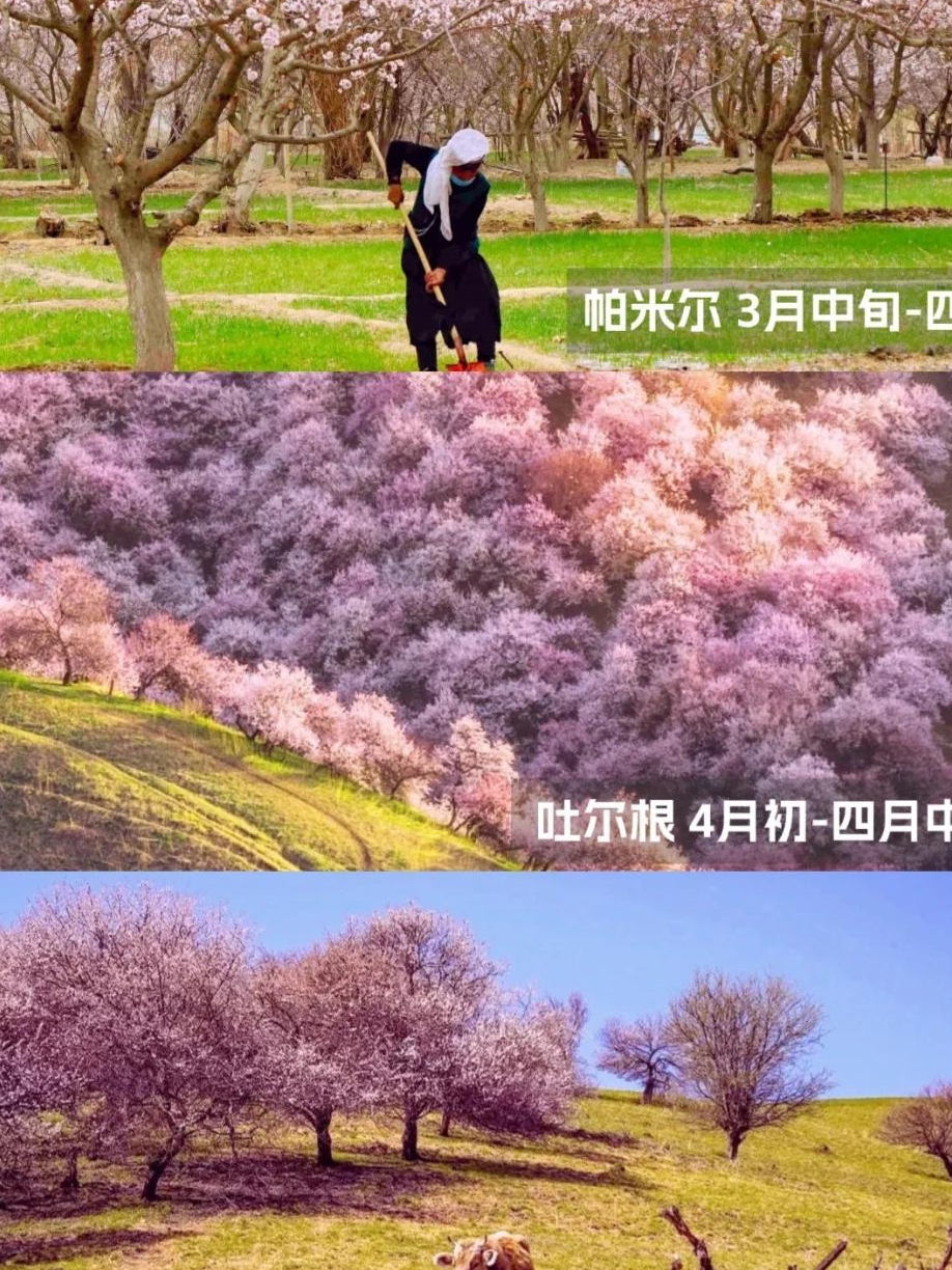 伊犁旅游