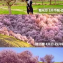 伊犁旅游 缩略图 1