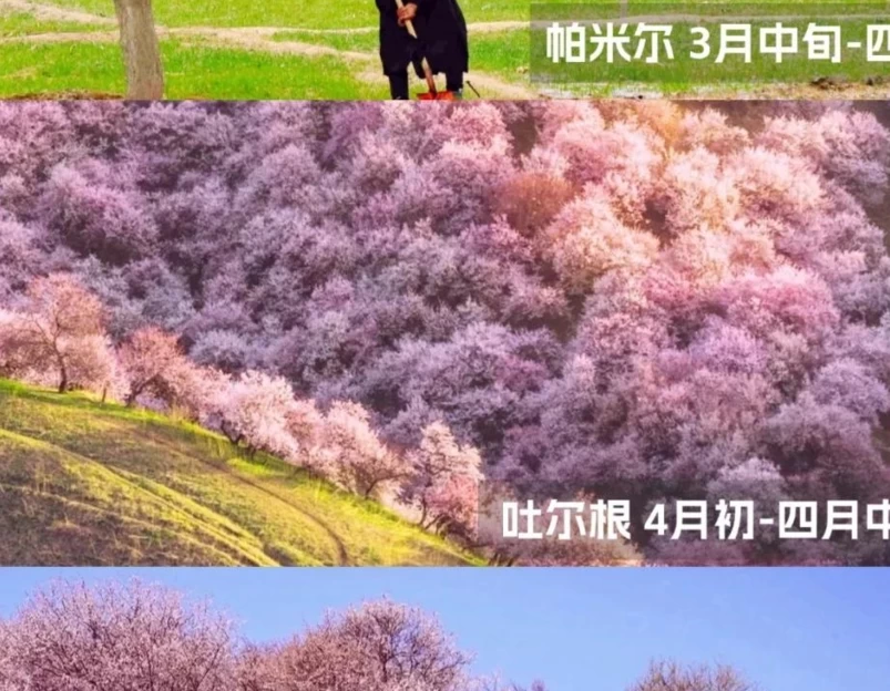 伊犁旅游 1