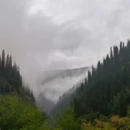 伊犁旅游 缩略图 4