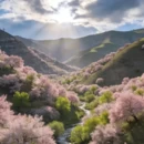 伊犁旅游 缩略图 1