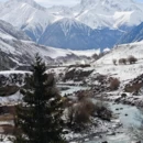 伊犁旅游 缩略图 5