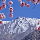 喀什地区旅游 缩略图 6
