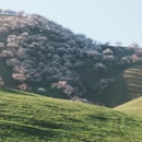 伊犁旅游 缩略图 9