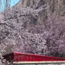 喀什地区旅游 缩略图 3