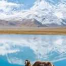 喀什地区旅游 缩略图 13