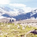 伊犁旅游 缩略图 8