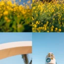 漳州旅游 缩略图 3