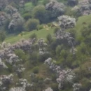 伊犁旅游 缩略图 4