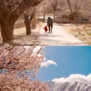 喀什地区旅游 缩略图 5