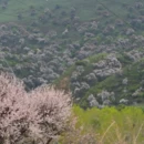 伊犁旅游 缩略图 7