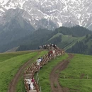 伊犁旅游 缩略图 9