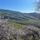 吐鲁番旅游 缩略图 3