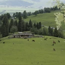 伊犁旅游 缩略图 11
