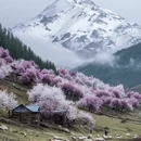 伊犁旅游 缩略图 1