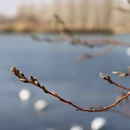 伊犁旅游 缩略图 11
