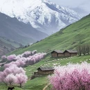 伊犁旅游 缩略图 4