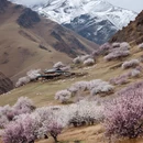伊犁旅游 缩略图 6