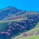 伊犁旅游 缩略图 1