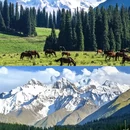 伊犁旅游 缩略图 8