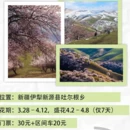伊犁旅游 缩略图 2