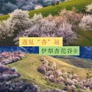 乌鲁木齐旅游 缩略图 4