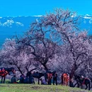 伊犁旅游 缩略图 6