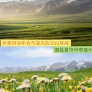 乌鲁木齐旅游 缩略图 3