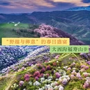 乌鲁木齐旅游 缩略图 7