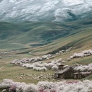 伊犁旅游 缩略图 8