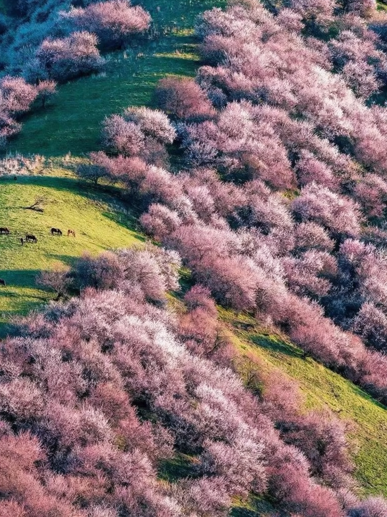 林芝旅游