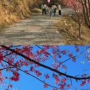 三明旅游 缩略图 4