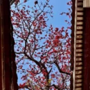 泉州旅游 缩略图 7