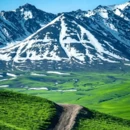 伊犁旅游 缩略图 4