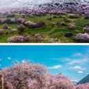 伊犁旅游 缩略图 2