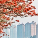 泉州旅游 缩略图 2