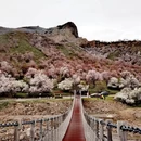 伊犁旅游 缩略图 4